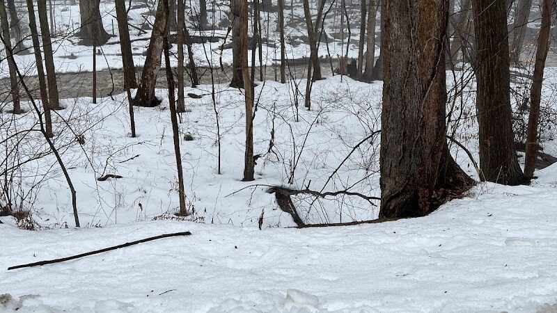 Wilson Mills Trailhead - Gates Mills, OH