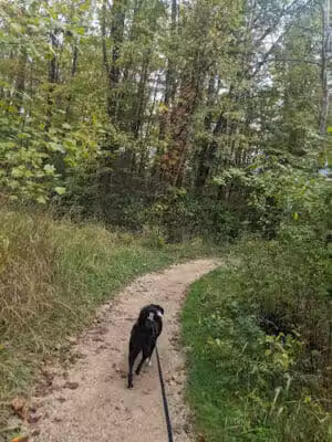 Wilson Mills Trailhead - Gates Mills, OH
