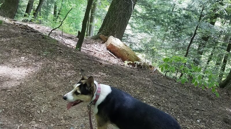 Wilson Mills Trailhead - Gates Mills, OH