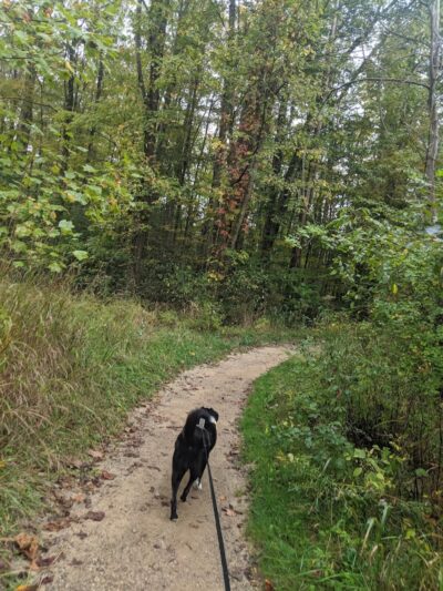 Wilson Mills Trailhead - Gates Mills, OH
