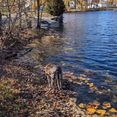 Veterans Memorial Park - Genoa, OH
