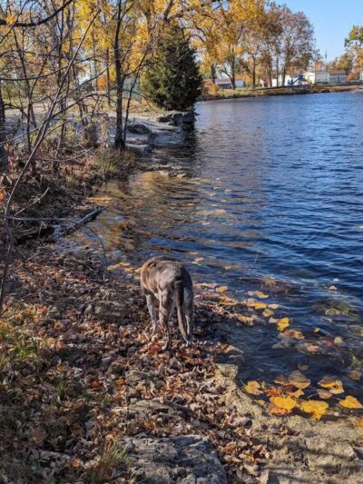 Veterans Memorial Park - Genoa, OH