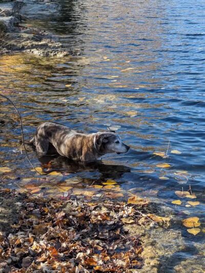 Veterans Memorial Park - Genoa, OH