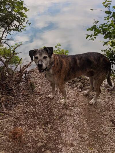 Veterans Memorial Park - Genoa, OH