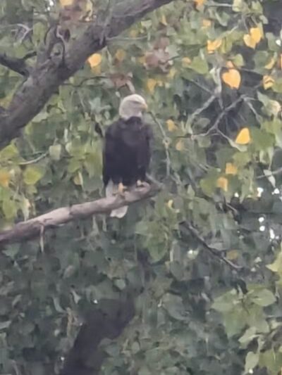 Veterans Memorial Park - Genoa, OH