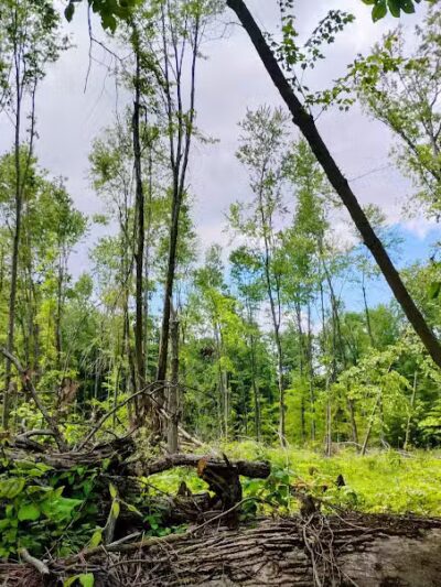 Kathryn Hanlon Park - Georgetown, OH
