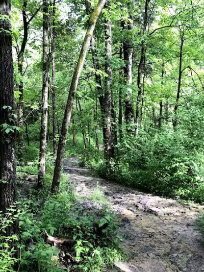 Germantown MetroPark - Germantown, OH