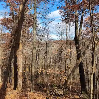 Germantown MetroPark - Germantown, OH