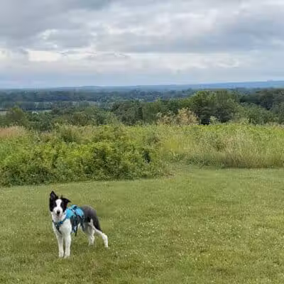 High View Park - Germantown, OH