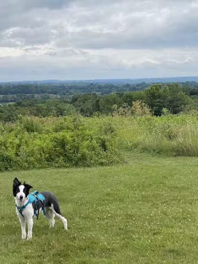 High View Park - Germantown, OH