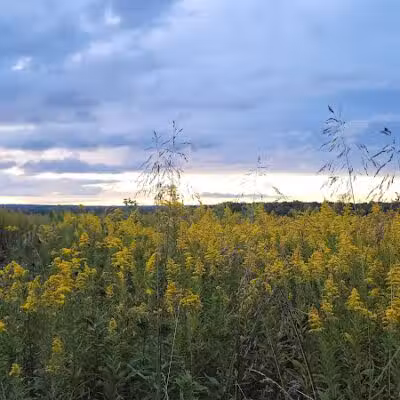 High View Park - Germantown, OH