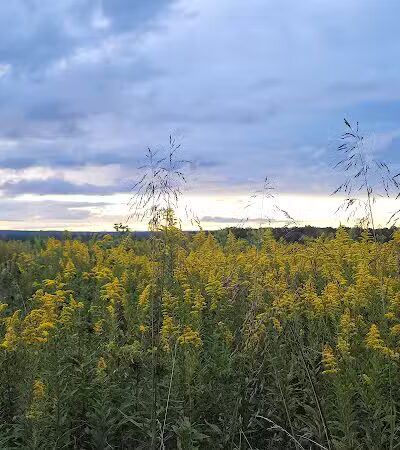 High View Park - Germantown, OH