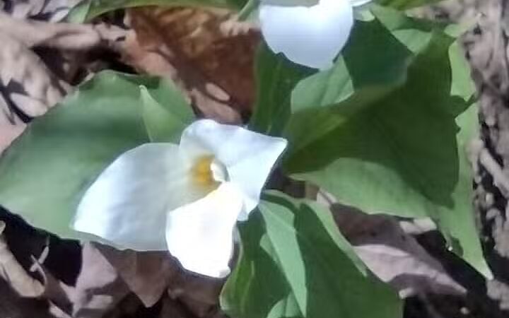 High View Park - Germantown, OH