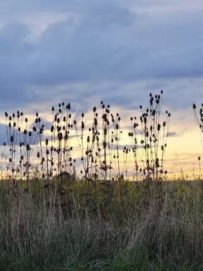 High View Park - Germantown, OH