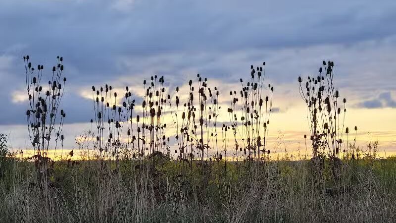 High View Park - Germantown, OH