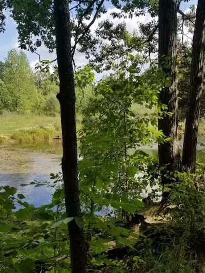 Twin Creek Dogwood Pond - Germantown, OH