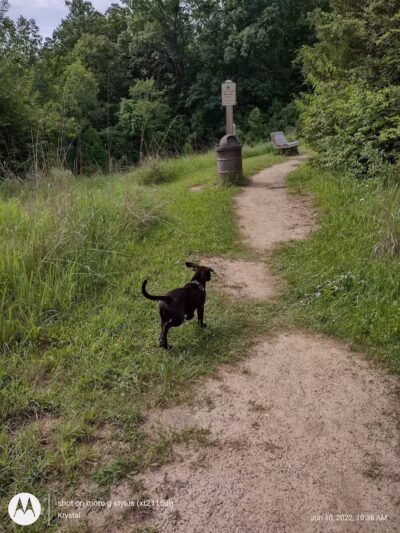 Twin Creek Dogwood Pond - Germantown, OH