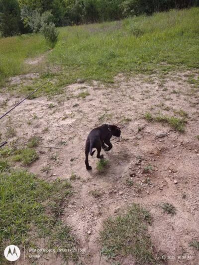 Twin Creek Dogwood Pond - Germantown, OH