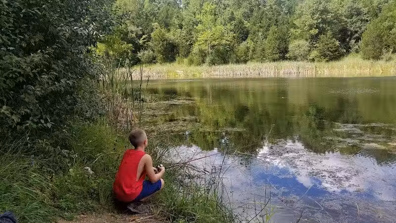 Twin Creek Dogwood Pond - Germantown, OH