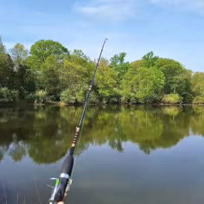 Twin Creek Dogwood Pond - Germantown, OH