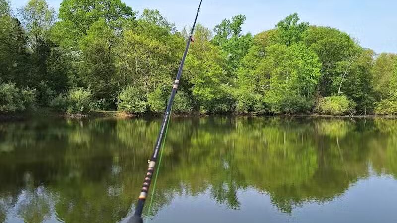 Twin Creek Dogwood Pond - Germantown, OH