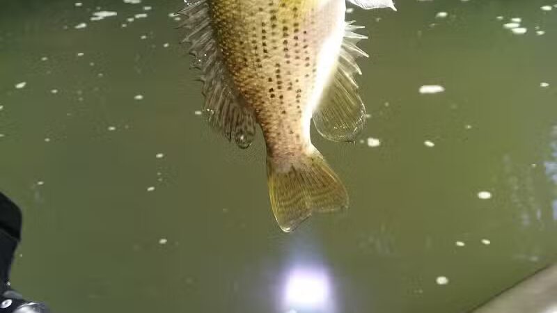 Twin Creek Hike And Bike Trail - Germantown, OH