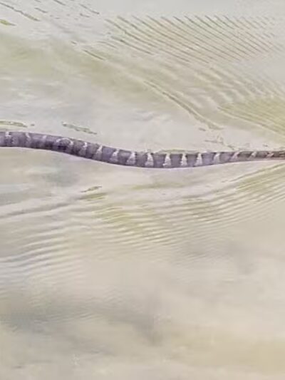 Twin Creek Hike And Bike Trail - Germantown, OH