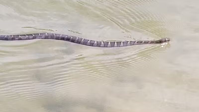 Twin Creek Hike And Bike Trail - Germantown, OH