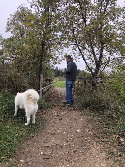 Homestead Howl Dog Park - Germantown, WI