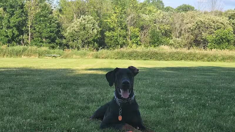 Homestead Howl Dog Park - Germantown, WI