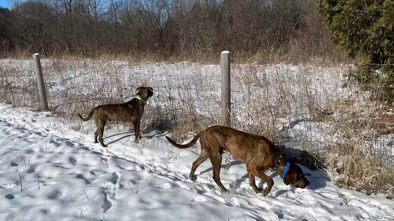 Homestead Howl Dog Park - Germantown, WI
