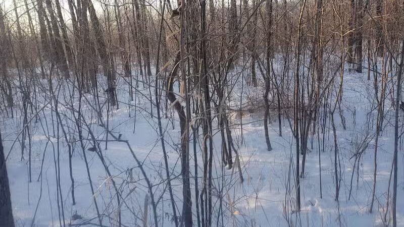 White Star Park: Horse Trails - Gibsonburg, OH