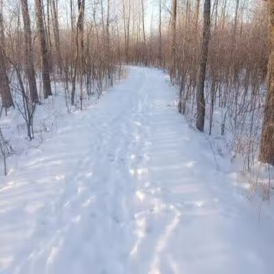 White Star Park: Horse Trails - Gibsonburg, OH
