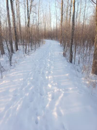 White Star Park: Horse Trails - Gibsonburg, OH