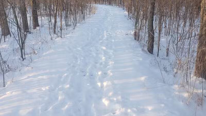 White Star Park: Horse Trails - Gibsonburg, OH