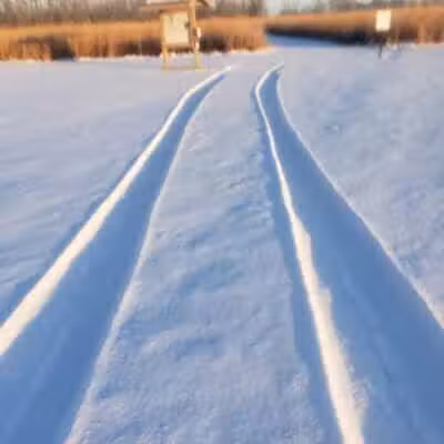 White Star Park: Horse Trails - Gibsonburg, OH