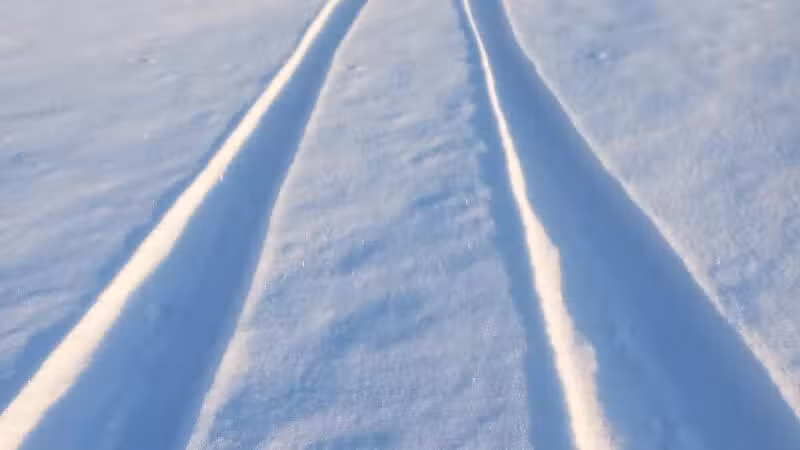 White Star Park: Horse Trails - Gibsonburg, OH