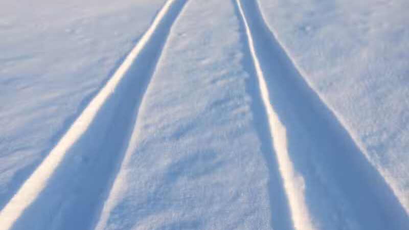 White Star Park: Horse Trails - Gibsonburg, OH