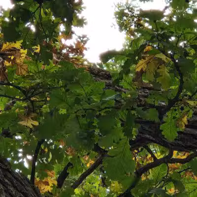 Liberty Park - Girard, OH