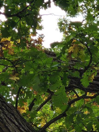 Liberty Park - Girard, OH