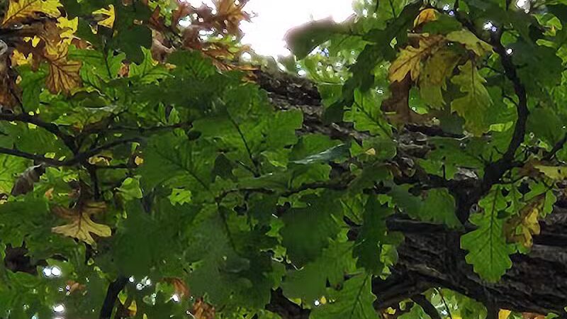 Liberty Park - Girard, OH