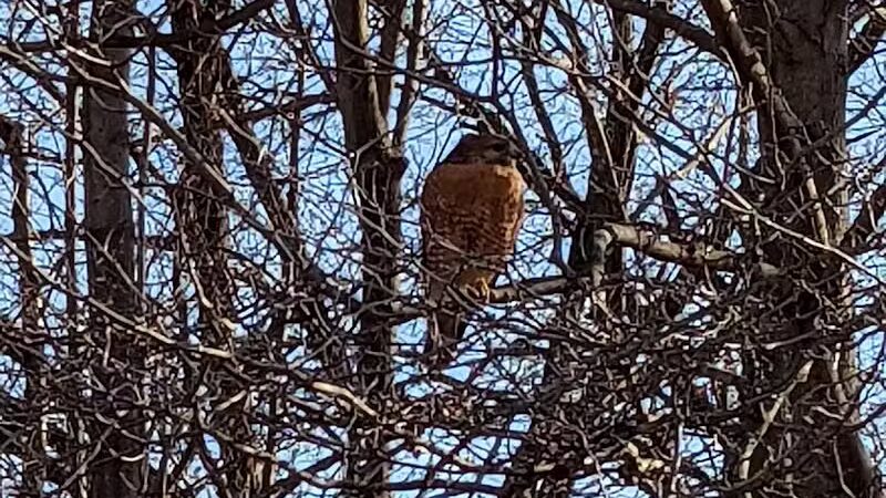 Liberty Park - Girard, OH