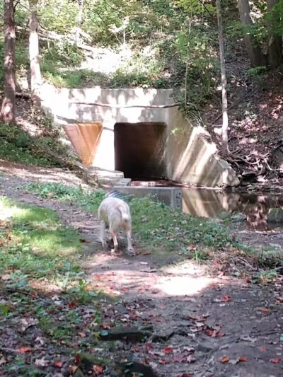 Liberty Park - Girard, OH