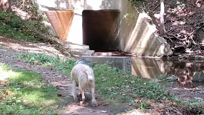 Liberty Park - Girard, OH