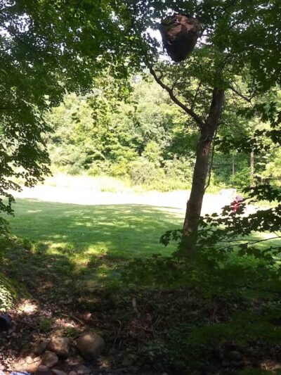 Liberty Park - Girard, OH