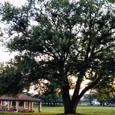 Stambaugh Park - Girard, OH