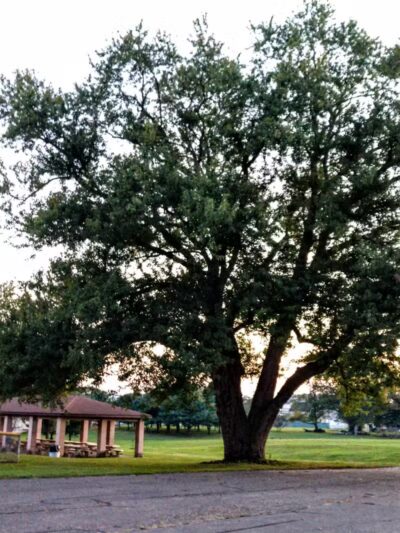 Stambaugh Park - Girard, OH