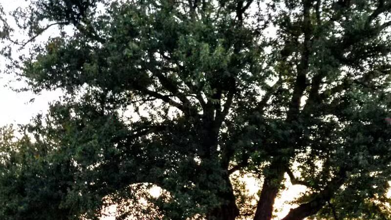 Stambaugh Park - Girard, OH