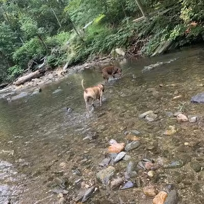West Mill Creek Park - Gladwyne, PA