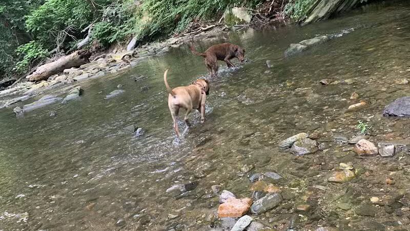 West Mill Creek Park - Gladwyne, PA